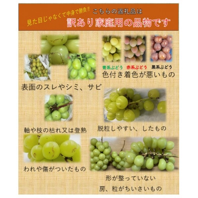 【2026年】【長野県産】【訳あり】【ぶどう食べ比べ】シャインマスカット+お任せ1～2種類　計2kg