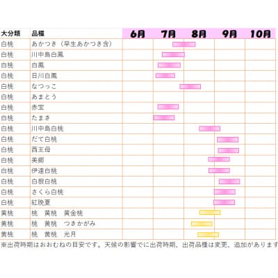 【2026年発送】【長野県】【白桃】【家庭用】【訳あり】品種おまかせ2kg (4～10玉)