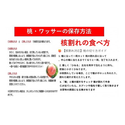 【2026年発送】【長野県】【黄桃】【家庭用】【訳あり】品種おまかせ2kg (4～10玉)