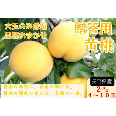 【2026年発送】【長野県】【黄桃】【贈答用】【秀】品種おまかせ2kg (4～10玉)