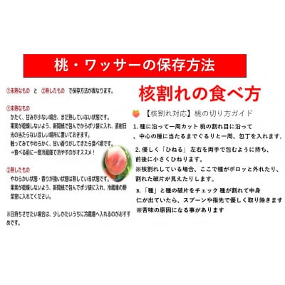 【2026年発送】【長野県】【黄桃】【贈答用】【秀】品種おまかせ2kg (4～10玉)