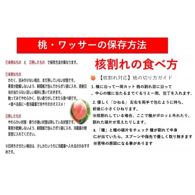 【訳あり】長野県産 白桃 品種おまかせ 3kg(7～14玉)産地直送 2026年7月下旬より順次発送