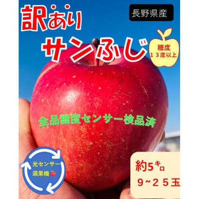 【訳あり】長野県産 サンふじりんご 5kg 光センサー選別 産地直送 2026年12月下旬～順次発送