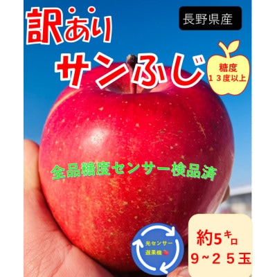 【訳あり】長野県産 サンふじ　りんご 5kg 光センサ選別 産地直送 2026年11月下旬～順次発送