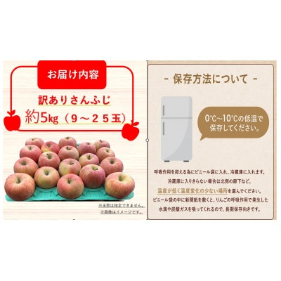 【訳あり】長野県産 サンふじりんご 5kg 光センサー選別 産地直送 2026年12月下旬～順次発送