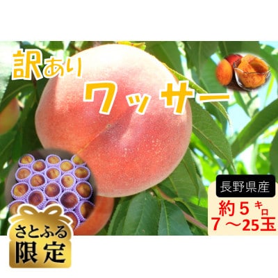 【さとふる限定】【2026年発送】長野県産【訳あり】ワッサー約5kg【桃】×【ネクタリン】交配種　