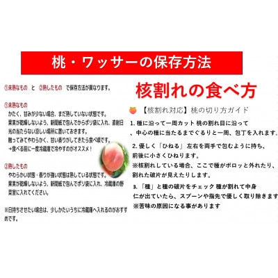 【さとふる限定】【2026年発送】長野県産【訳あり】ワッサー約5kg【桃】×【ネクタリン】交配種　