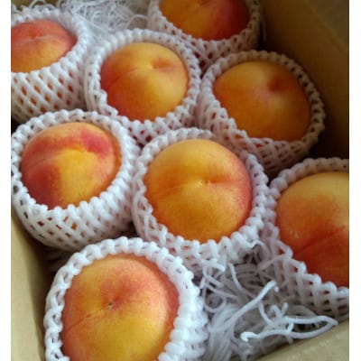 7月中旬より発送予定 厳選!ジューシーな甘さの黄金ピーチ約2kg(6～11個) 品種おまかせ