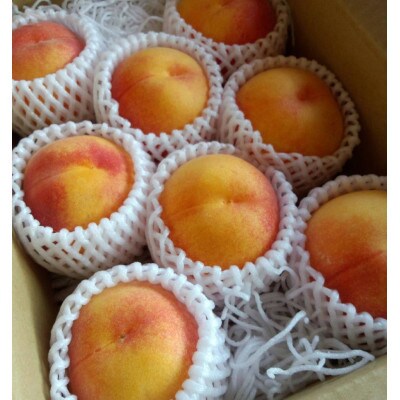7月中旬より発送予定 厳選!ジューシーな甘さの黄金ピーチ約2kg(6～11個) 品種おまかせ