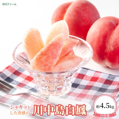 通の方におススメ、シャキッとした食感【川中島白鳳】約4.5kg(11～19個)