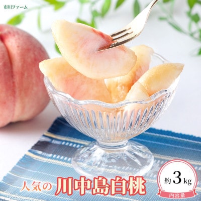 トロけるジューシーな桃、人気の【川中島白桃】　約3kg(約7～約12個)