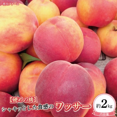 【硬めの桃】シャキッとした食感のワッサー約2kg(約6～10玉)
