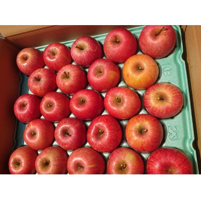 訳ありサンふじ りんご食べきり小さめサイズ約4.5kg