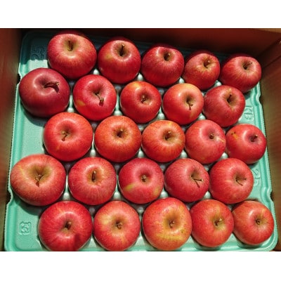 訳ありサンふじ りんご食べきり小さめサイズ約4.5kg