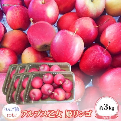 姫りんご「アルプス乙女」約3kg