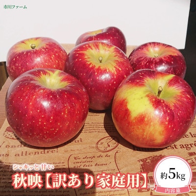 【訳あり・家庭用】秋の空に美味しい!ふぞろいの秋映　約5kg(13～23玉)