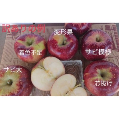 【訳あり・家庭用】秋の空に美味しい!ふぞろいの秋映　約5kg(13～23玉)