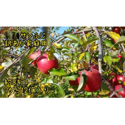 見栄えはB級、味はA級!葉とらずサンふじ【訳あり家庭用】約3kg