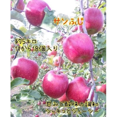 長野県産　葉とらずサンふじ【特秀品11～18個入り】約5kg