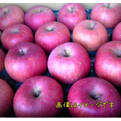 長野県産　葉とらずサンふじ【特秀品11～18個入り】約5kg