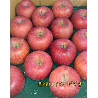 長野県産　葉とらずサンふじ【特秀品11～18個入り】約5kg