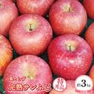 須坂市産　葉とらずサンふじ【特秀品7～11個入り】約3kg　フルーツキャップ梱包