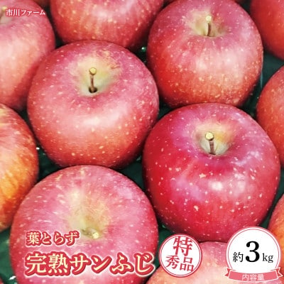 須坂市産　葉とらずサンふじ【特秀品7～11個入り】約3kg　フルーツキャップ梱包