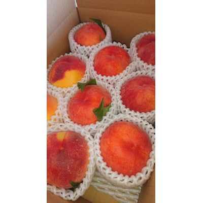 トロける濃厚な甘さの黄金ピーチ約3kg(種類・個数おまかせ)訳あり家庭用