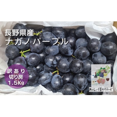 【訳あり】 新鮮朝採り ナガノパープル 『切り房』 1.5kg以上 2025年8月下旬より発送