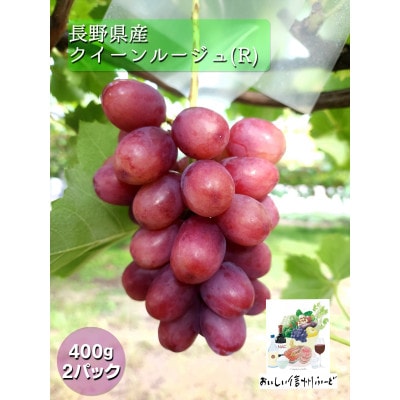 新鮮朝採り 長野県産 クイーンルージュ(R)  400g 2パック 2025年9月中旬より発送予定