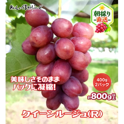 新鮮朝採り 長野県産 クイーンルージュ(R)  400g 2パック 2026年9月中旬より発送予定