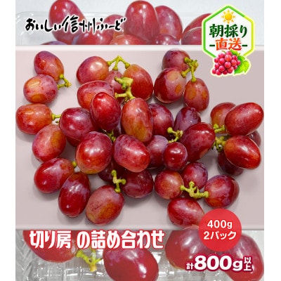新鮮朝採り 長野県産 クイーンルージュ(R)  400g 2パック 2026年9月中旬より発送予定