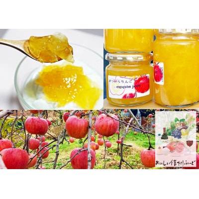 【信州産】自家農園の果実100%　りんごジュース・りんごジャム・あんずジャム　3種セット