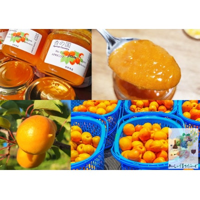 【信州産】自家農園の果実100%　りんごジュース・りんごジャム・あんずジャム　3種セット