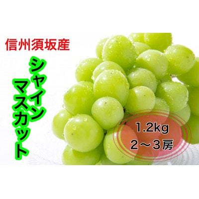 信州須坂産高級シャインマスカット 約1.2kg(2～3房)