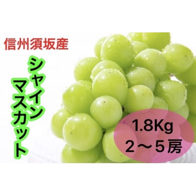 信州須坂産高級シャインマスカット 約1.8kg(2～5房)