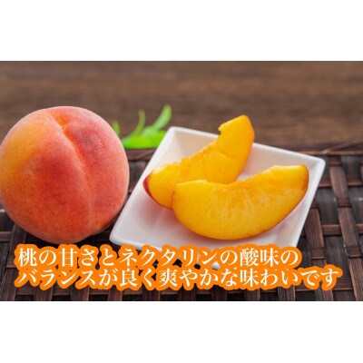 《硬めの桃》ワッサー約3kg(約8～12玉)