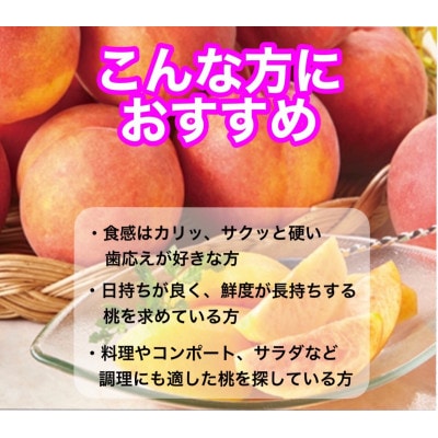 《硬めの桃》ワッサー約3kg(約8～12玉)