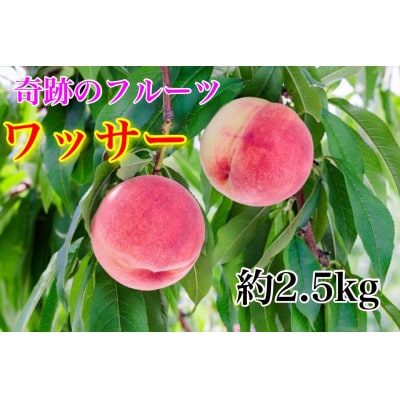 《硬めの桃》ワッサー約2.5kg(約8～12玉)