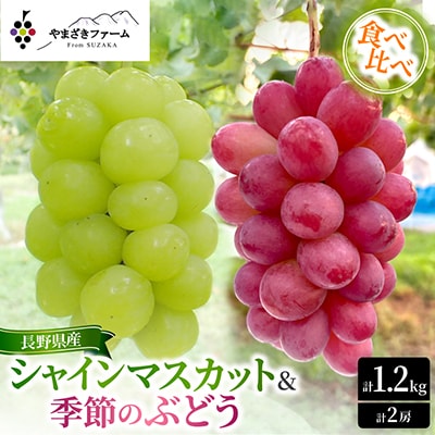 食べ比べ・シャインマスカット1房&季節のぶどう1房　計1.2kg以上