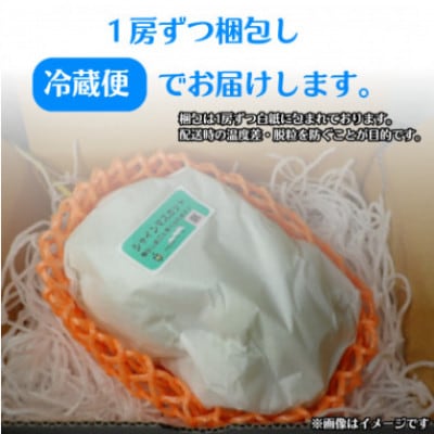 【2025年発送】長野県産 シャインマスカット800g以上(1房)朝採り・樹成りで新鮮!