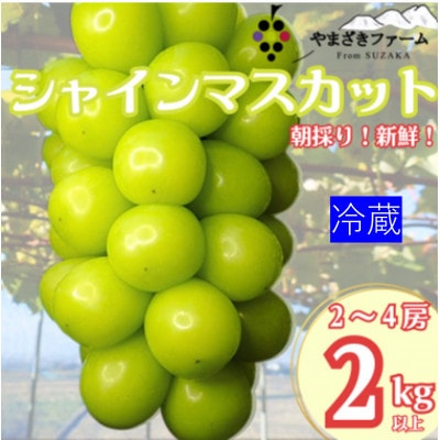 【冷蔵】大人気!冬に味わう冷蔵シャインマスカット2kg(2～4房)