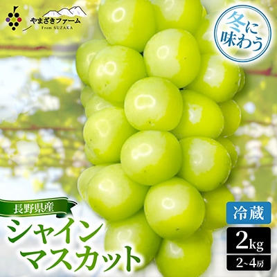 【冷蔵】大人気!冬に味わう冷蔵シャインマスカット2kg(2～4房)