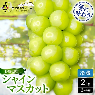 【2026年12月上旬より順次発送/冷蔵】大人気!冬に味わう冷蔵シャインマスカット2kg(2～4房)