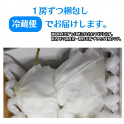 【冷蔵】大人気!冬に味わう冷蔵シャインマスカット2kg(2～4房)