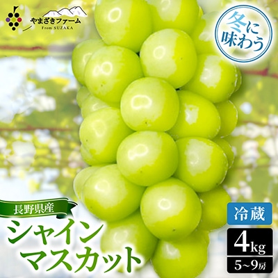 【2026年12月上旬より順次発送】【冷蔵】大人気!冬に味わうシャインマスカット4kg(5～9房)