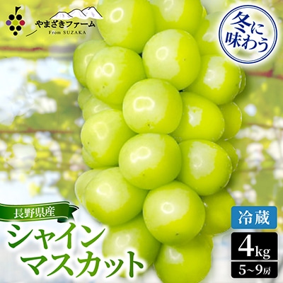 【2026年12月上旬より順次発送/冷蔵】大人気!冬に味わうシャインマスカット4kg(5～9房)