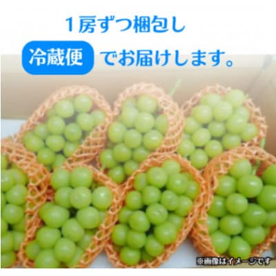 【冷蔵】大人気!冬に味わう冷蔵シャインマスカット4kg(5～7房)
