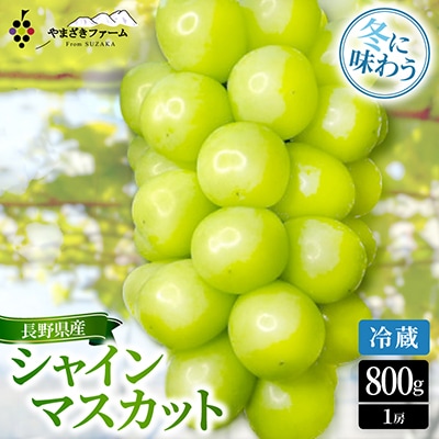 【2026年12月上旬より順次発送】【冷蔵】大人気!冬に味わうシャインマスカット約800g(1房)
