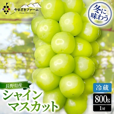 【2026年12月上旬より順次発送/冷蔵】大人気!冬に味わうシャインマスカット約800g(1房)